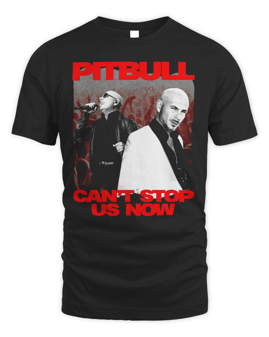 Pitbull Merch Can't Stop Us Now 2022 Tour Date Shirt Aacipt